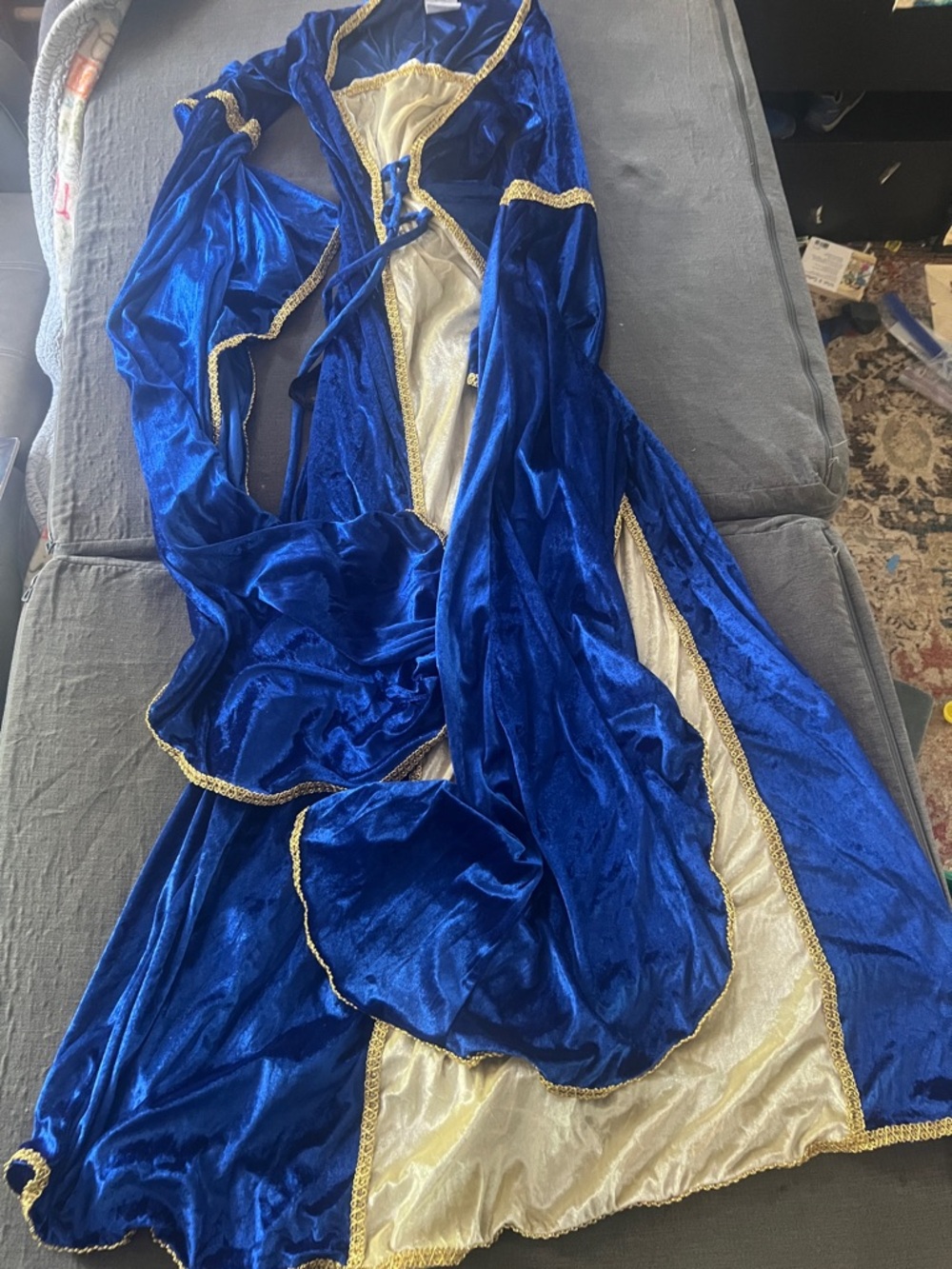 Blue Velvet Gown with Gold Trim - Women's Elegant Costume
